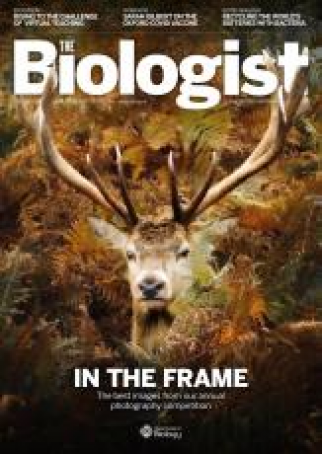 Magazine 2020_10_10_Vol67_No5_InTheFrame
