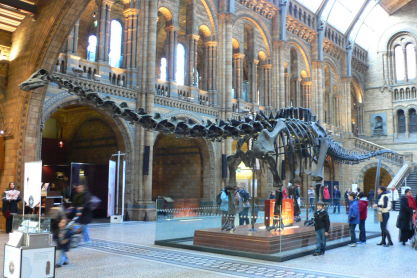 Dippy the Diplodocus dinosaur